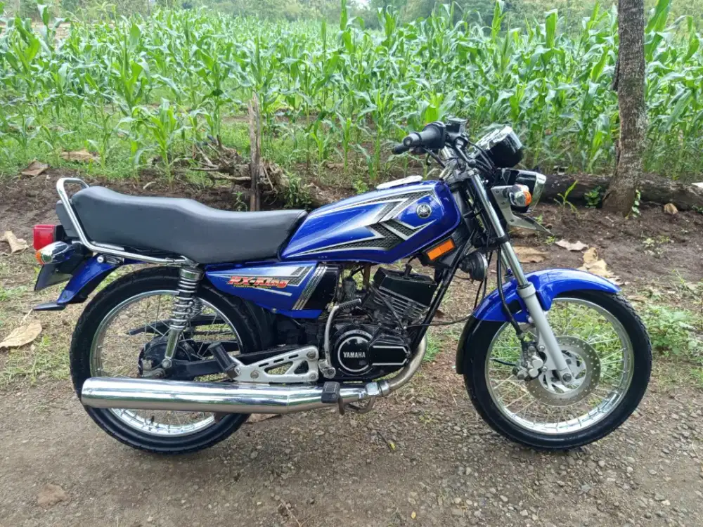 RX king th 2004