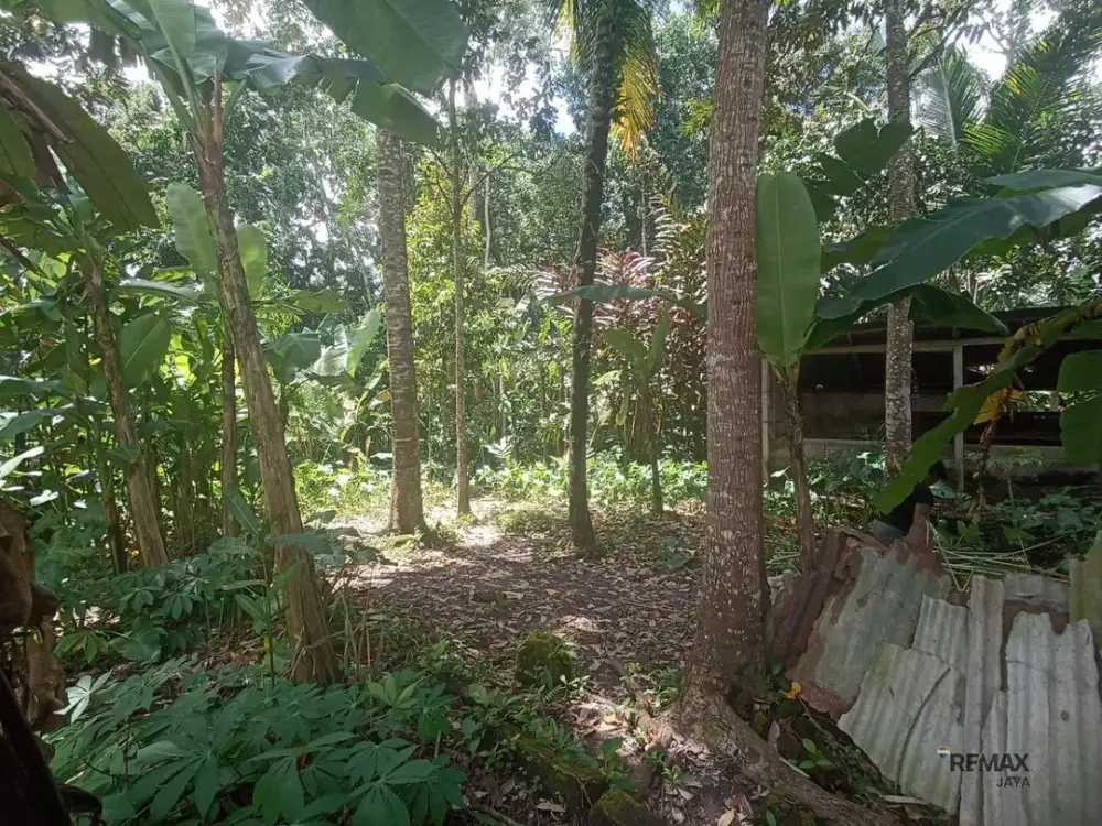 Tanah Strategis 7 Are Disewakan, di Area Premium Ubud, Gianyar