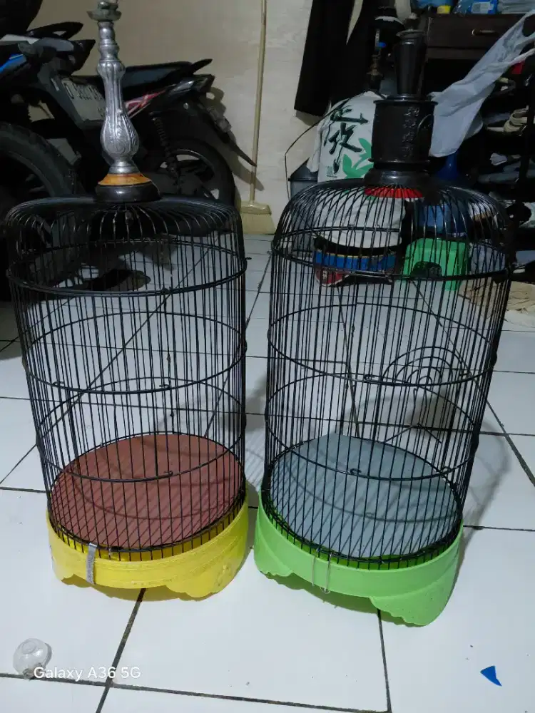 Sangkar bulat kecil mulus