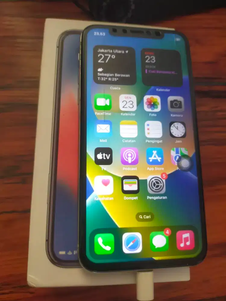 Iphone X kapasitas 256 GB