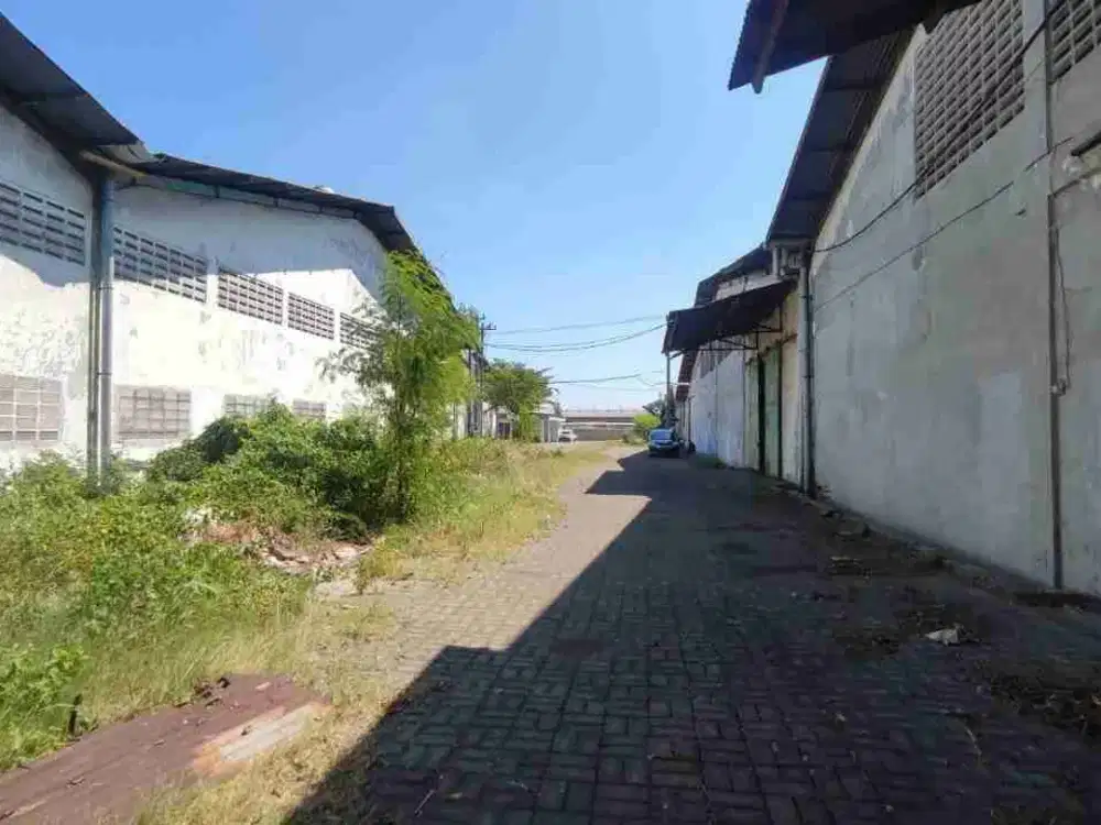 DISEWAKAN GUDANG TAMBAK SAWAH, SIAP PAKAI