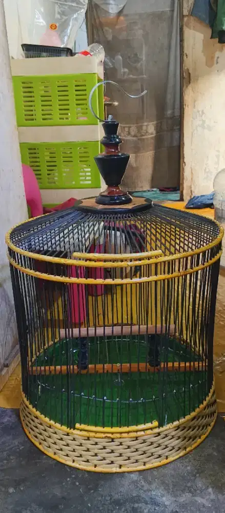 Sangkar tekukur/perkutut jemur