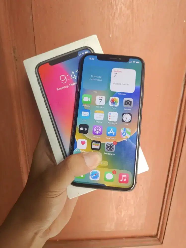 iphone x 256 gb inter terdaftar