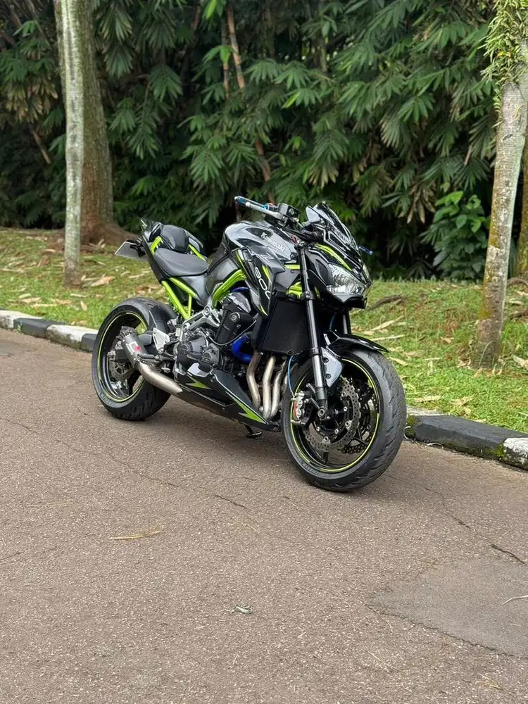 Kawasaki Z900 2019 Hedon