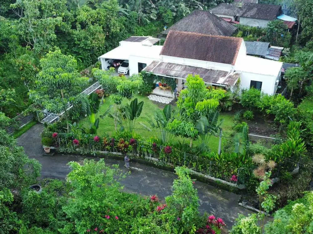 Sustainable Living in Pure Paradise