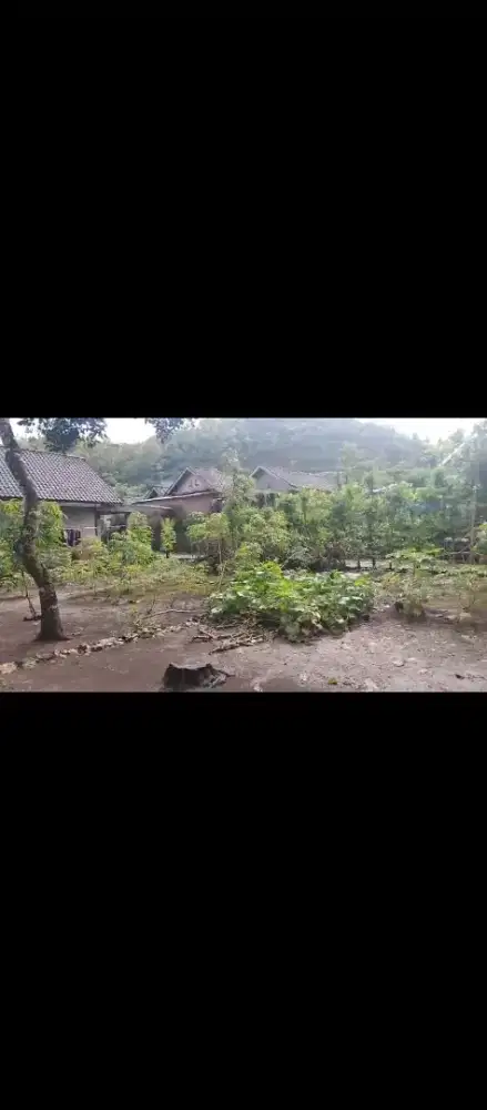 Dijual tanah pekarangan