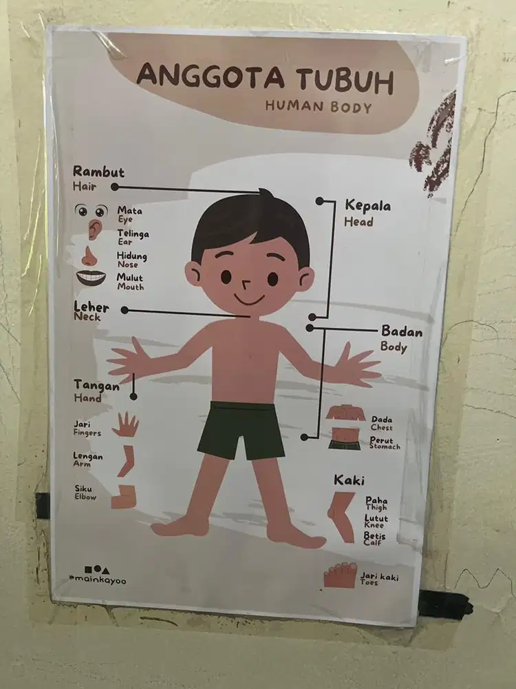 Momong Bayi & Keperluan Bayi