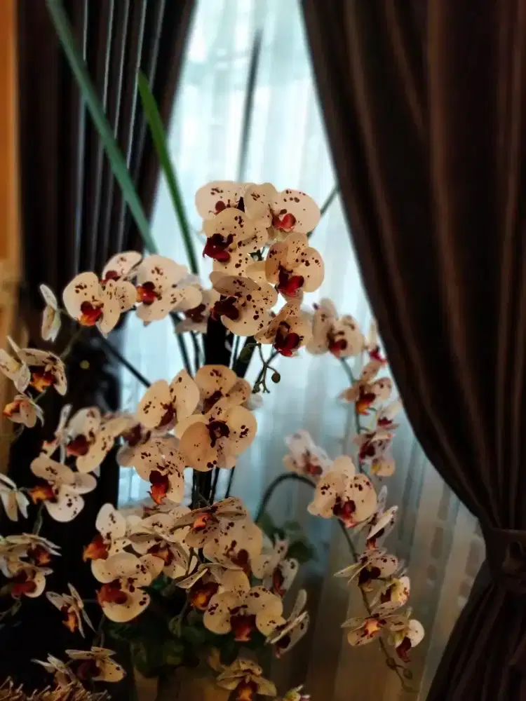 Jual Rumah istimewa + Perabotan Lengkap