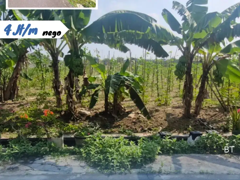 Dijual Tanah Pekarangan Pilangan Klodran Karanganyar