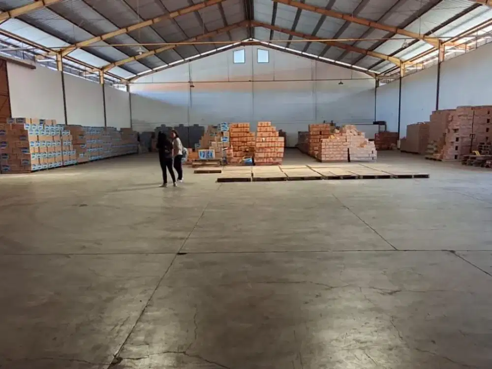 Dijual kantor dan gudang Sunset Road Bali Lokasi Sunset Road