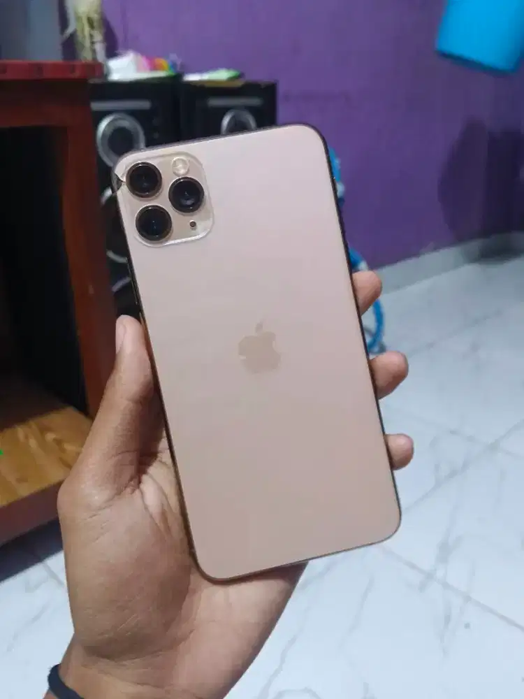 iPhone 11 Pro Max 512gb inter