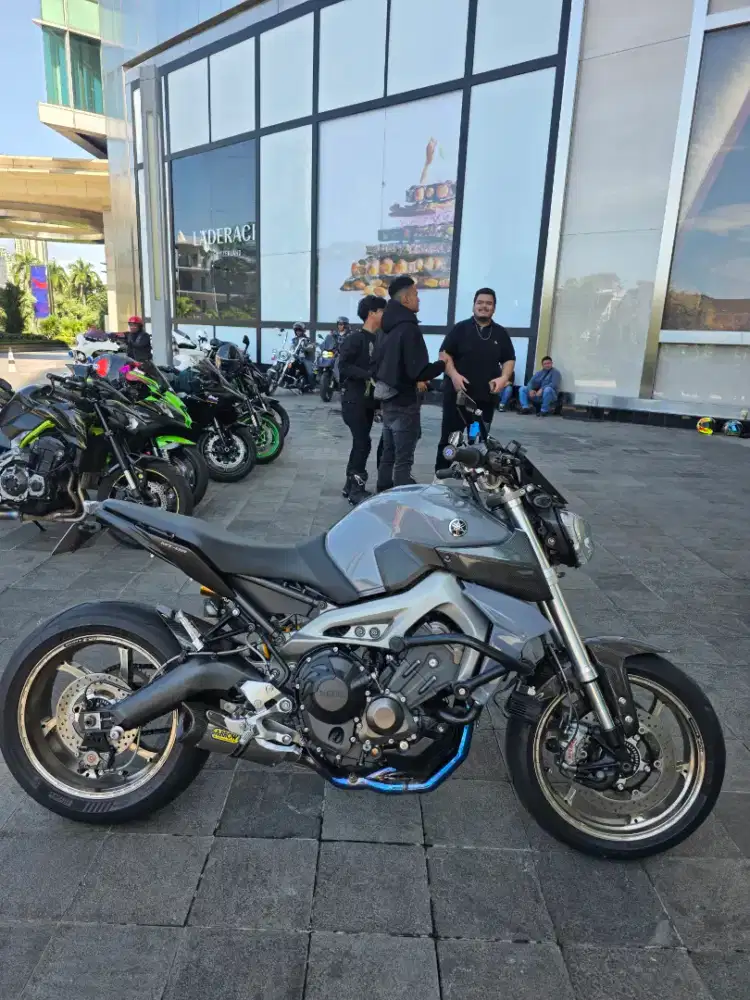 Mt09 FP hedon nego tipis