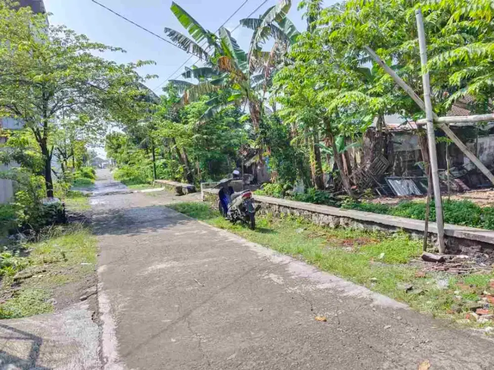 Tanah Mayang 600Mt, Ld 18Mt, dkt jalan Mangesti, Kartasura, Sukoharjo