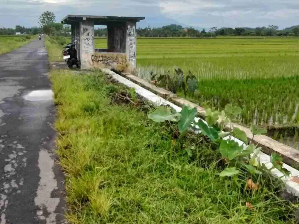 Dijual Tanah Tepi Jalan Ngijon Raya Sleman Barat Yogyakarta