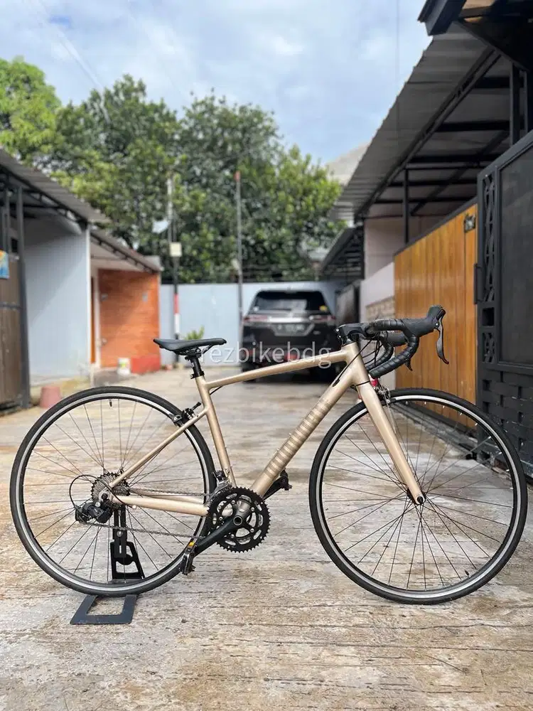 Roadbike Dominate RR 2x10 speed size 50