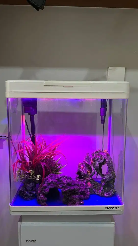 Jual aquarium ace kondisi bagus dan lengkap