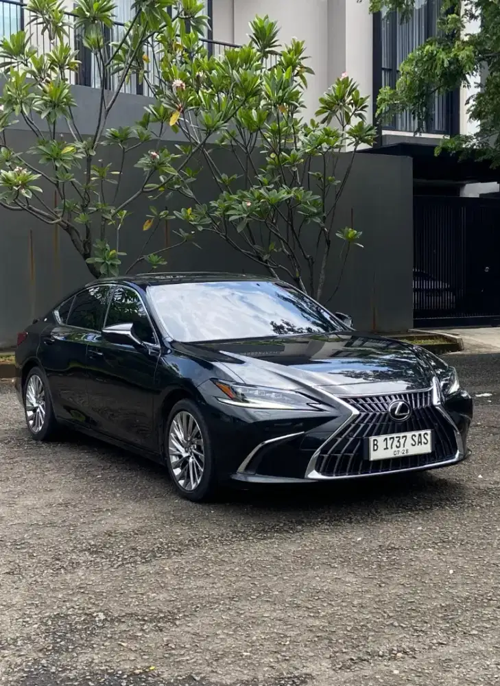 Lexus Es300h Ultra Luxury Tss At 2023