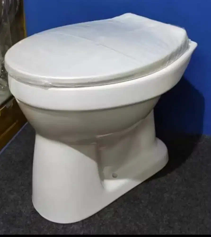 toilet duduk volt c509