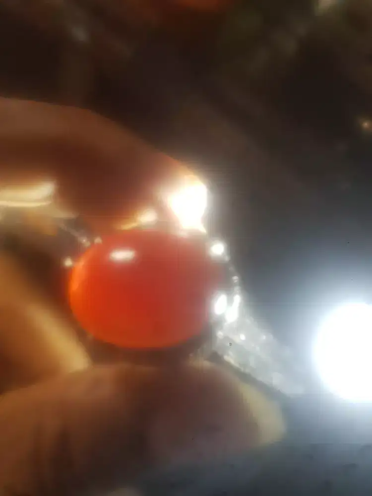 Batu akik sawo kecik kristal