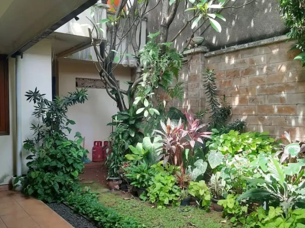 Rumah asri dan luas, posisi di hook depan taman di Rempoa Jaksel