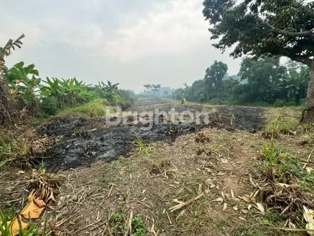 TANAH KEBUN SIAP USAHA 9134 M, SHM, LOKASI STRATEGIS DI MOJOKERTO