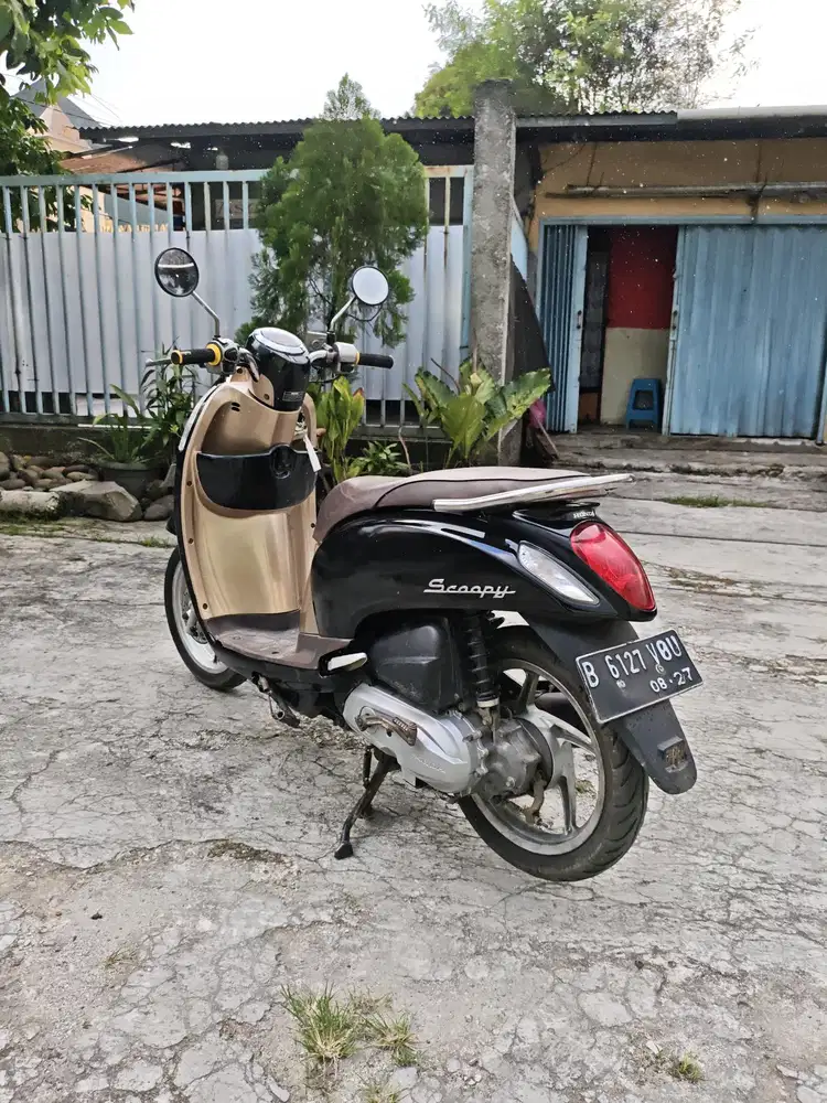 *Honda Scoopy Stylish