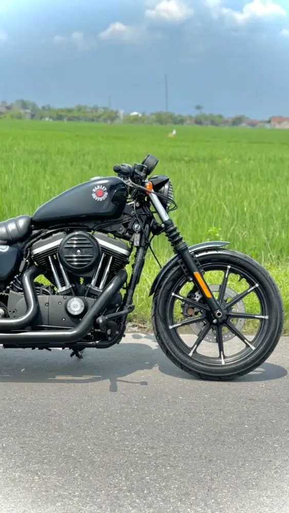 Harley Davidson Sportster 883 2021