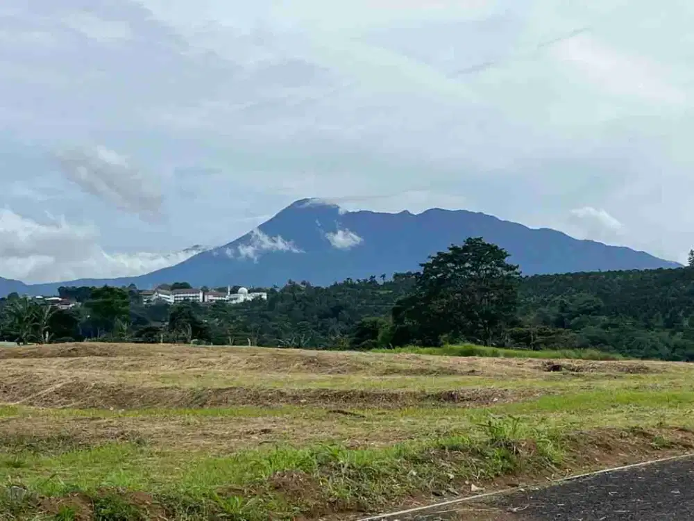 jual tanah dekat jalan raya utama puncak lokasi dekat Cimory
