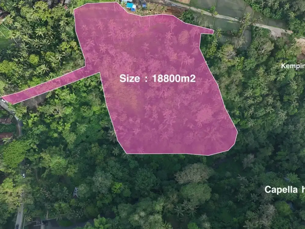 Dijual Tanah Ubud Diantara 2 Hotel , Cocok Buat Hotel , Pertokoan