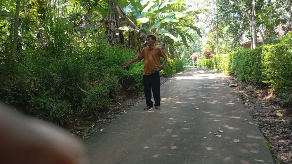 Jual tanah di Moyudan slm