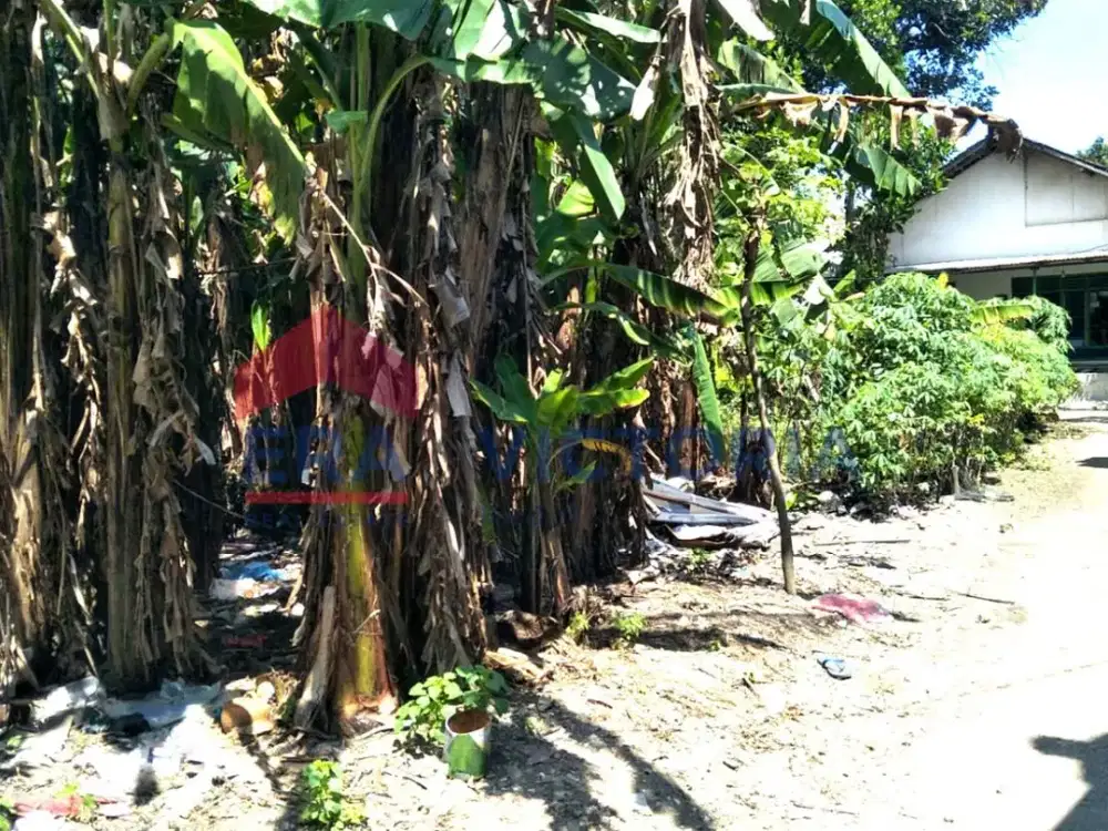 Tanah di Ngadiluwih 500 meter dari perbatasan Kota dan Kab Kediri