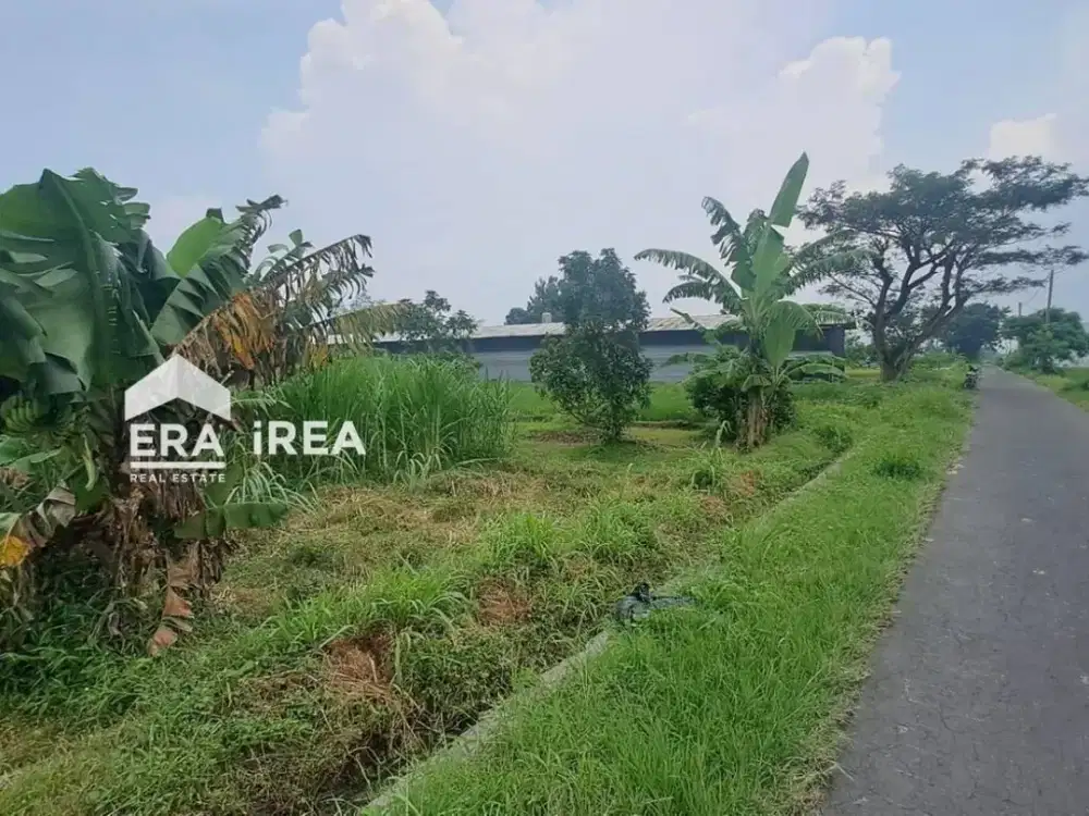 TANAH DIJUAL DI JOGJA DEKAT PABRK ROKO SAMPOERNA