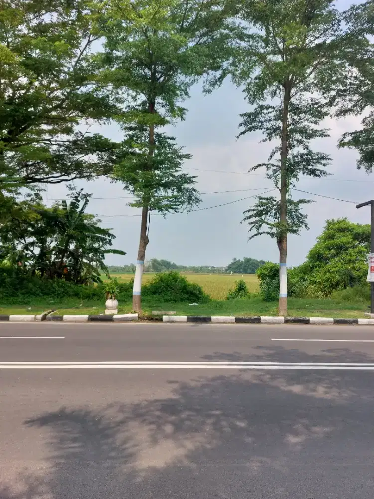 Tanah jalan VETERAN  Bojonegoro