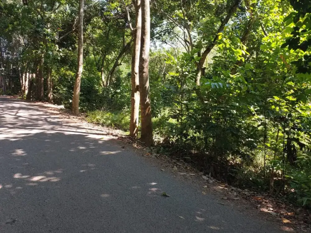 JUAL TANAH 1 HEKTAR MURAH PURWAKARTA