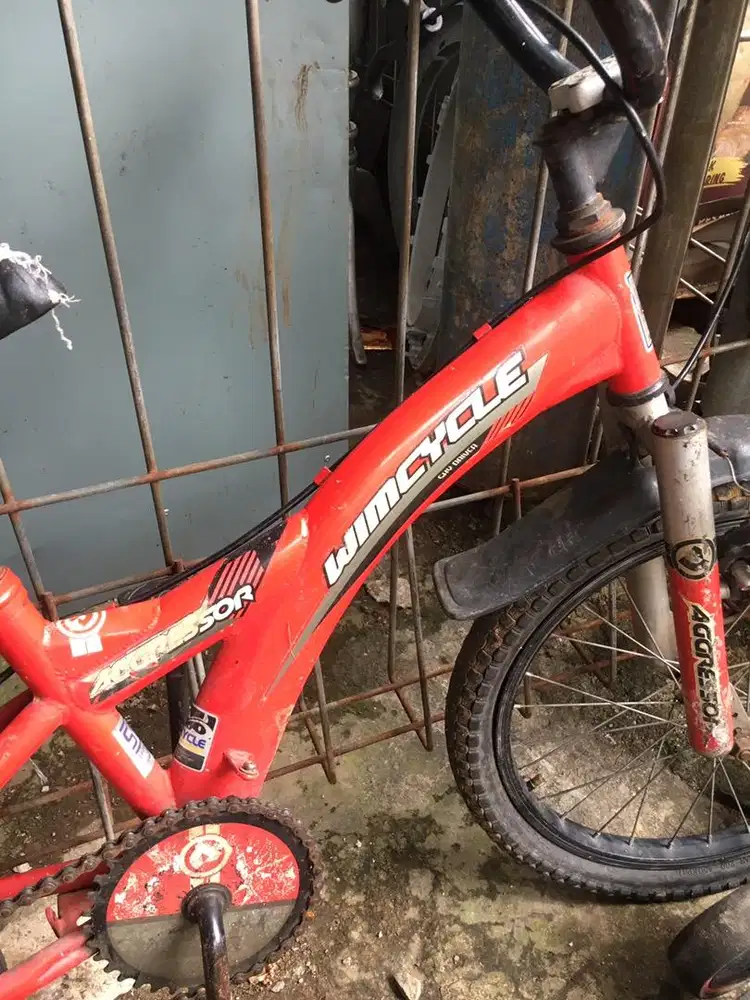 Sepeda Anak Wimcycle