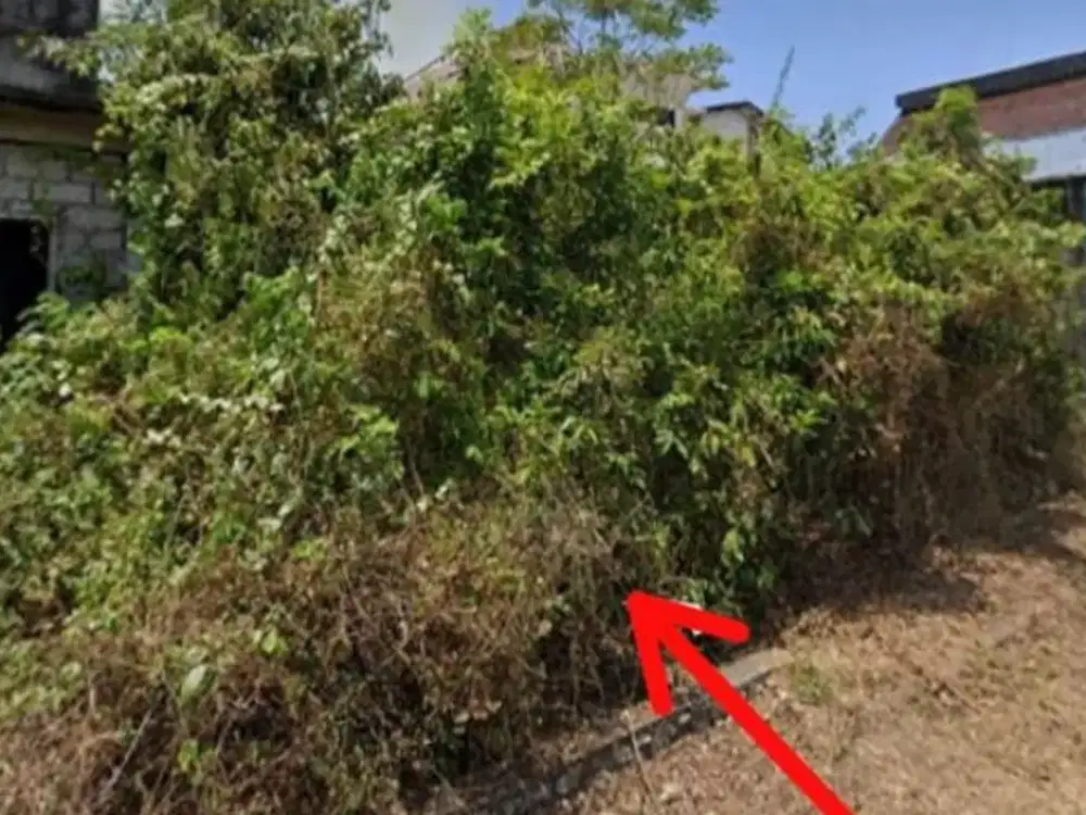 TANAH KOMERSIL GUNUNG GEDE PULASARI MUMBUL BENOA BADUNG