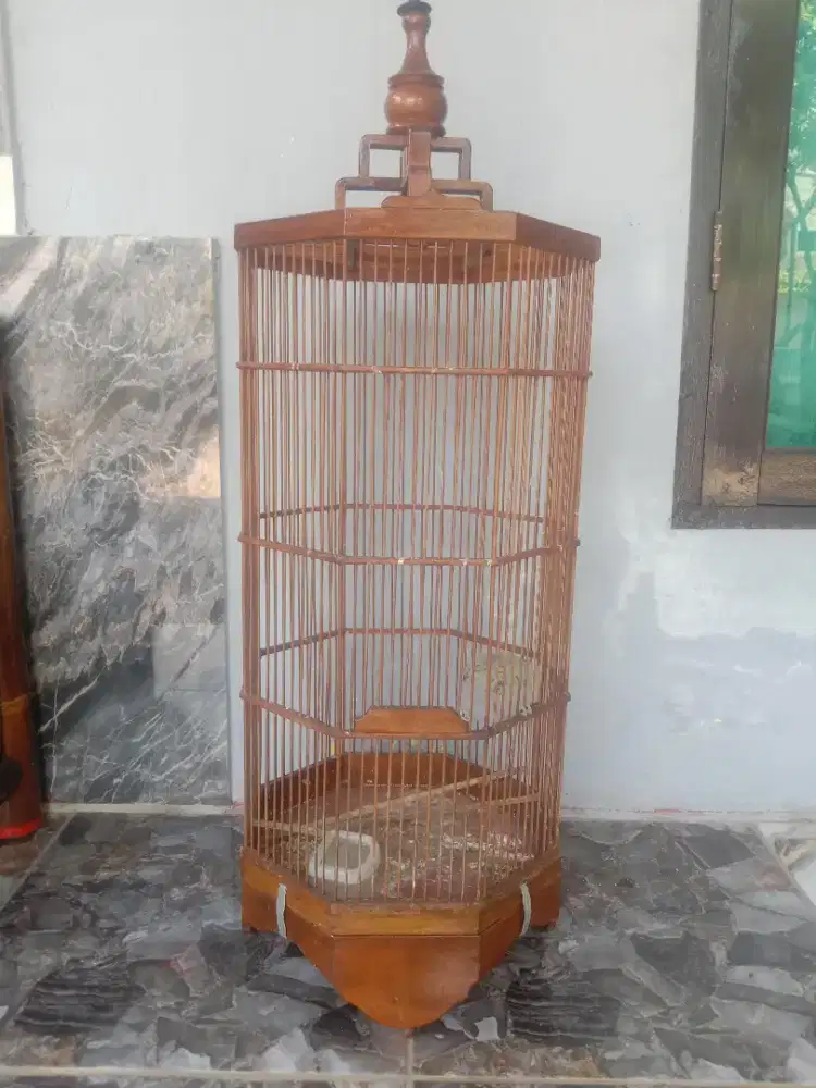 kandang segi delapan