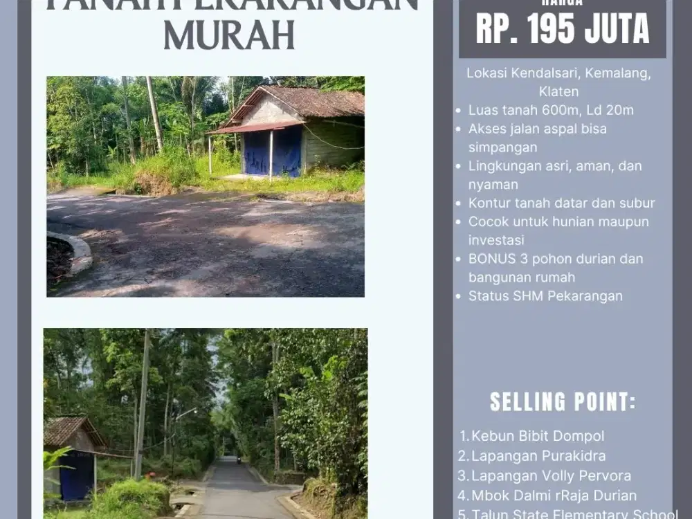 TANAH MURAH MERIAH HANYA 100JTAAN SUDAH BONUS 3 POHON DURIAN