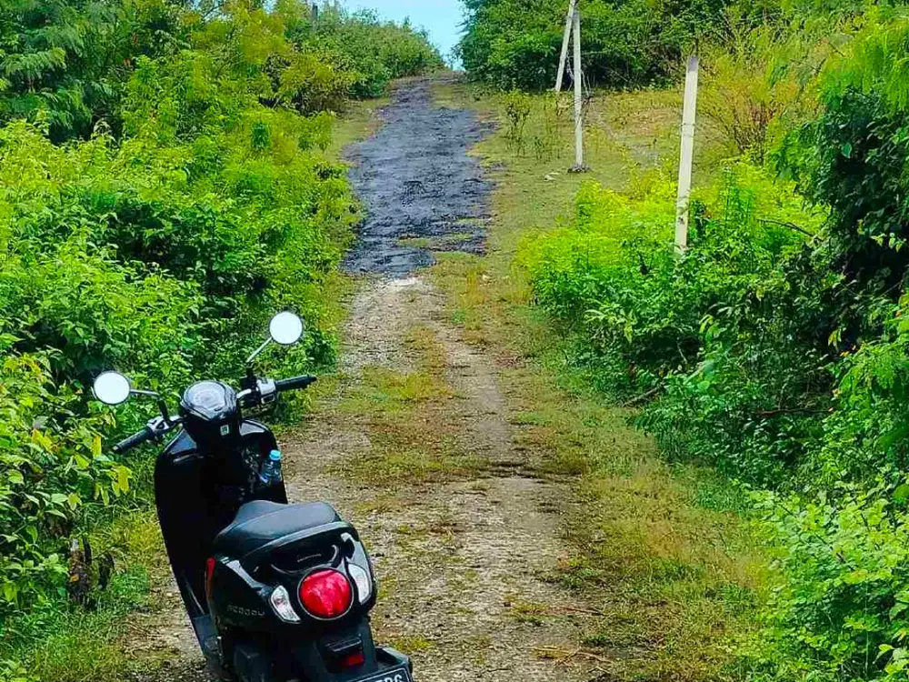 lease hold land at Goa gong start 10 Are idr 7 Mill/are/yrs