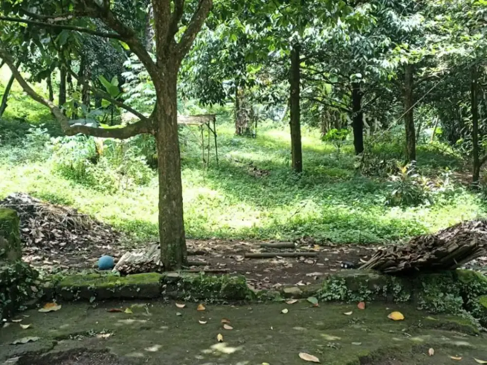 DIJUAL MURAH TANAH KAVLING DI KIHAPIT LEUWIGAJAH CIMAHI