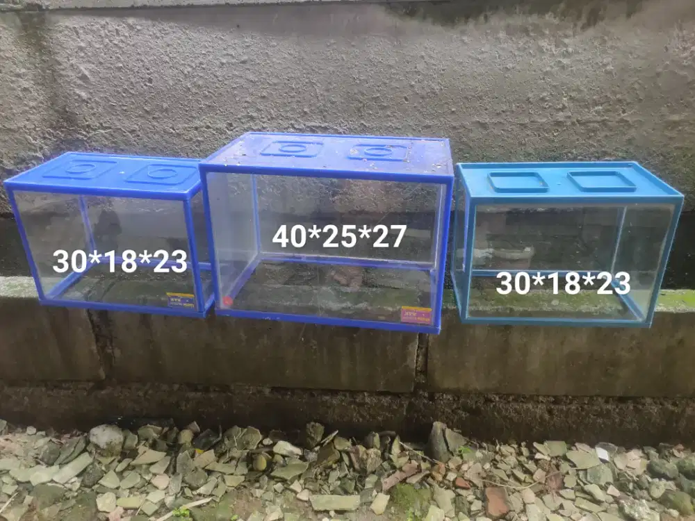 Aquarium gex reptile