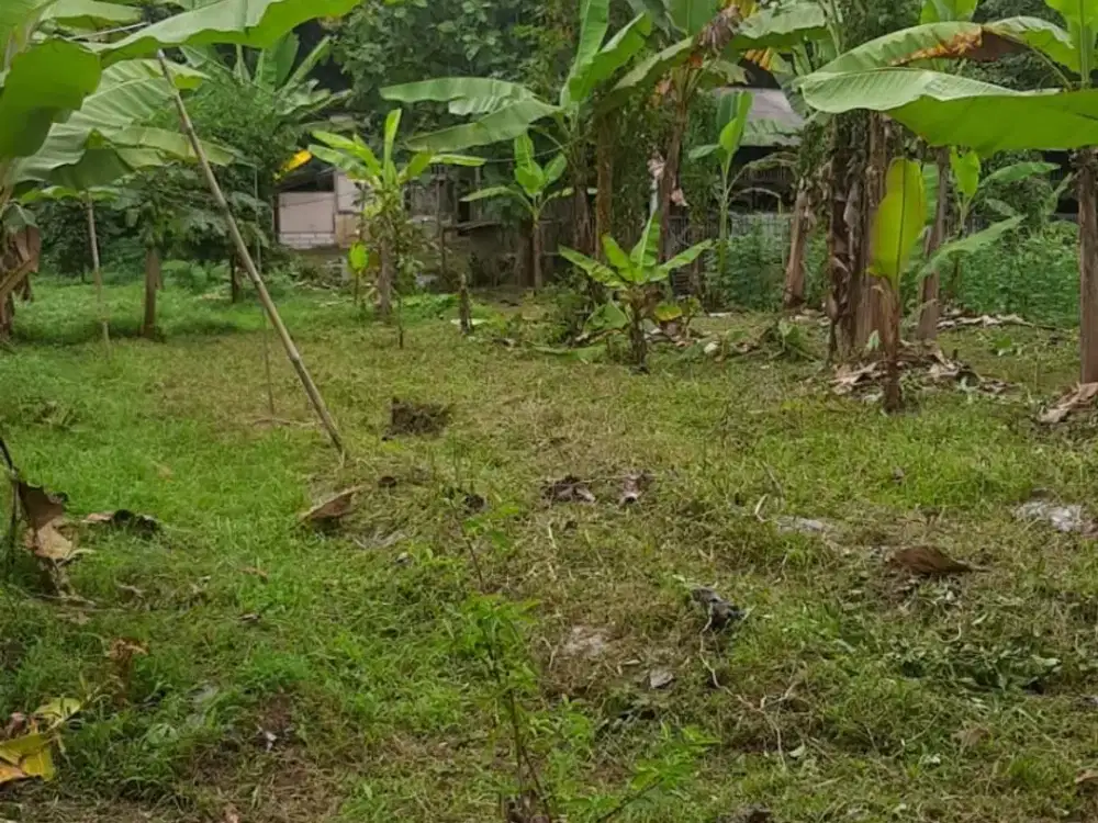 DIJUAL CEPAT LAHAN PERTERNAKAN DI SUMEDANG STRATEGIS DAN AKSES MUDAH