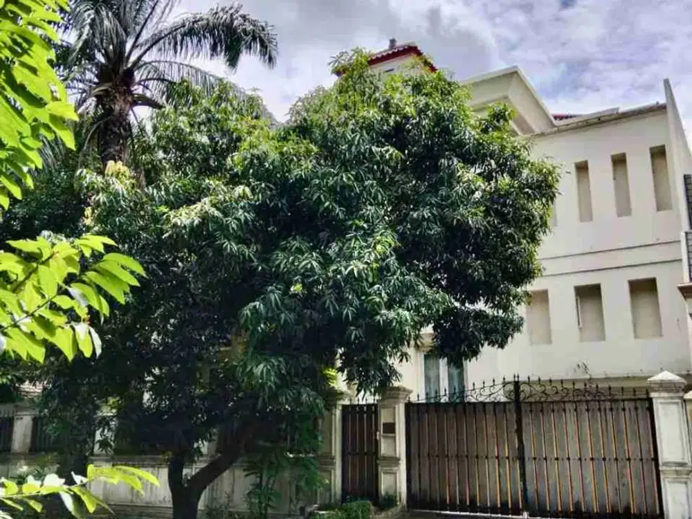rumah mewah di Tanjung Mas Raya Jakarta Selatan
