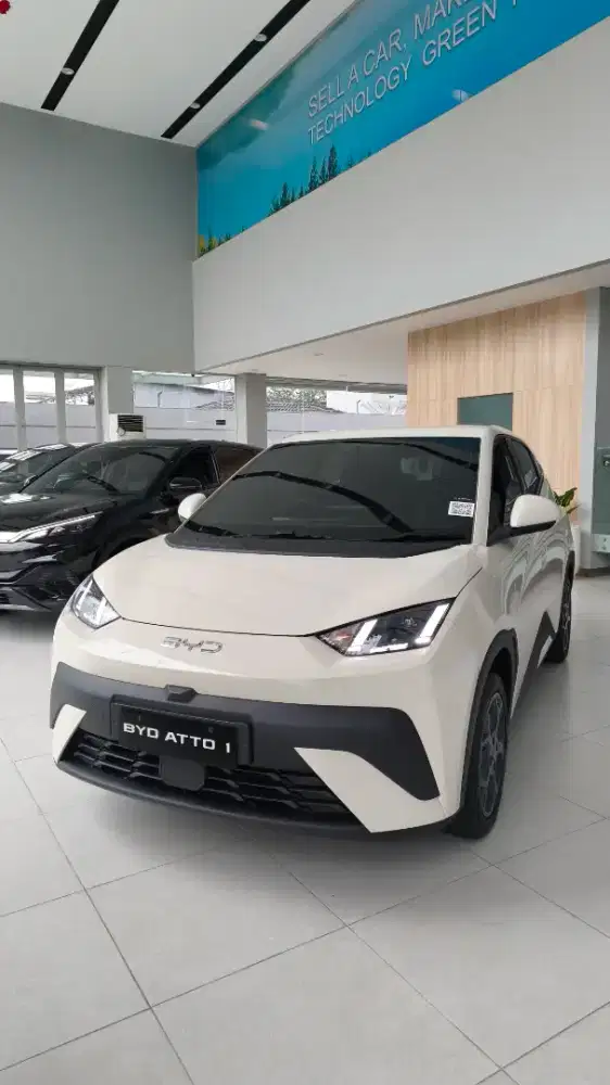 BYD ATTO 1  Dynamic/Premium
