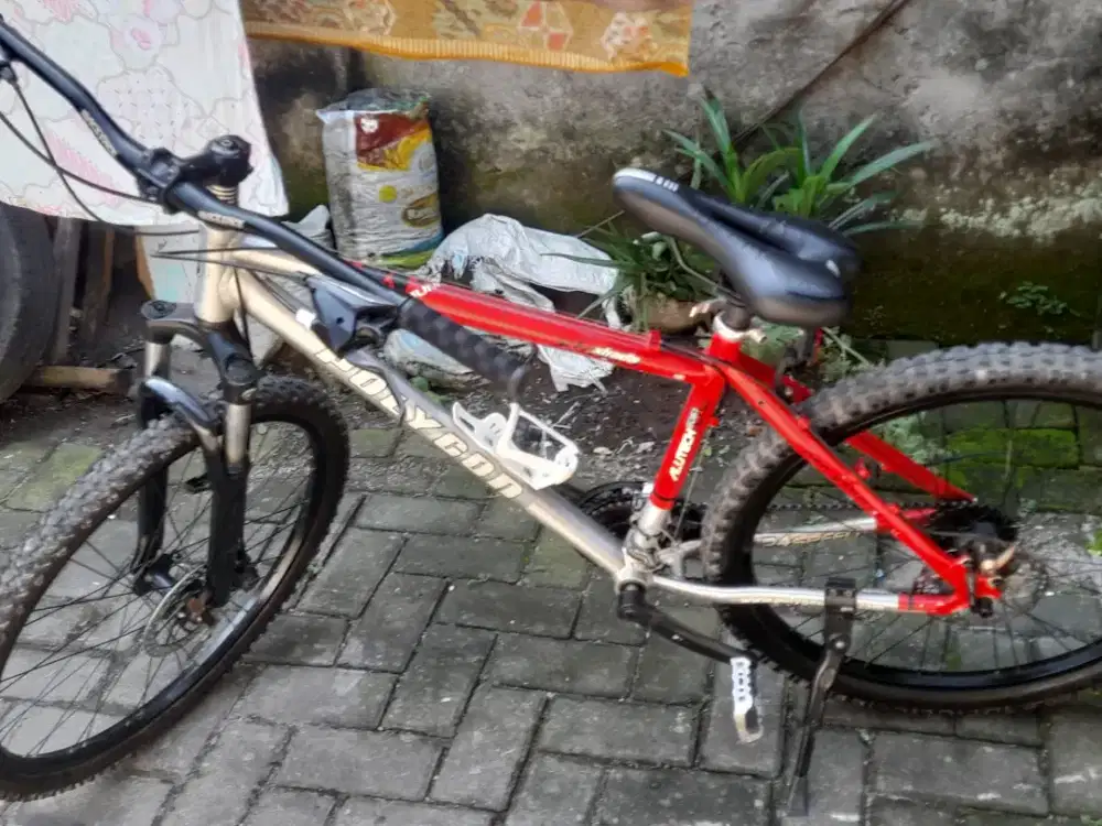 sepeda gunung mtb polgon xtarada