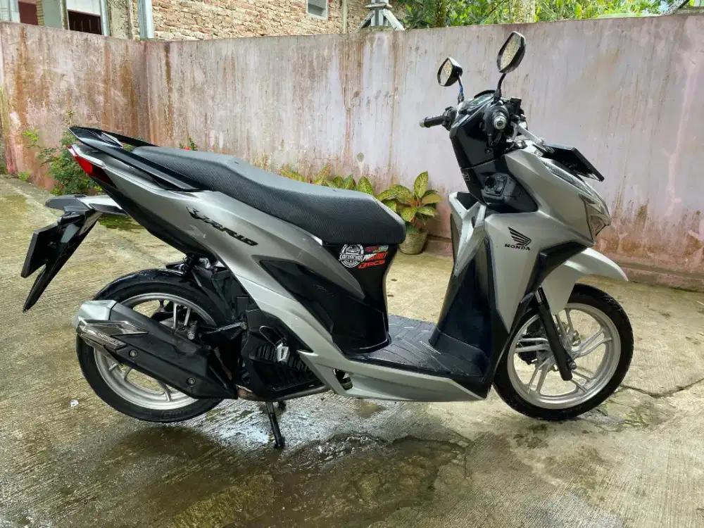 Motor vario 150