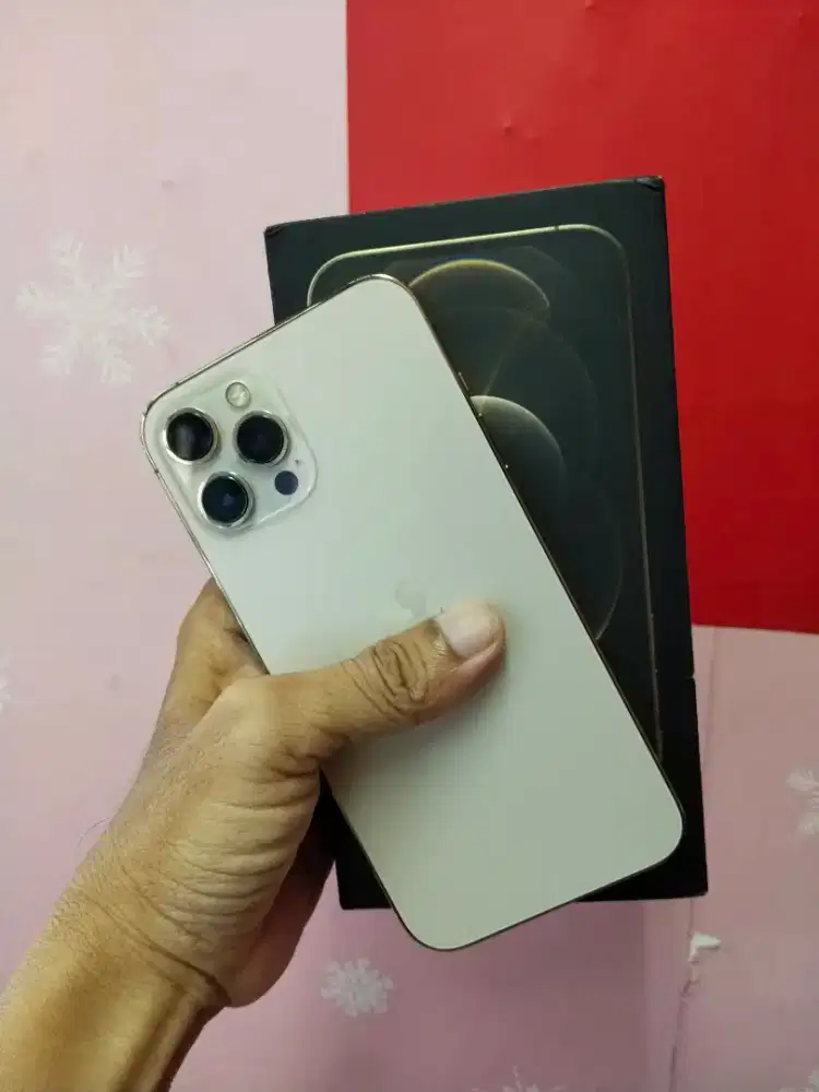 Iphone 12 promax 256 dual sim dan dus