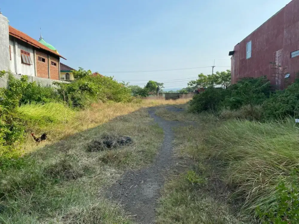 Jual tnh bonus gudang