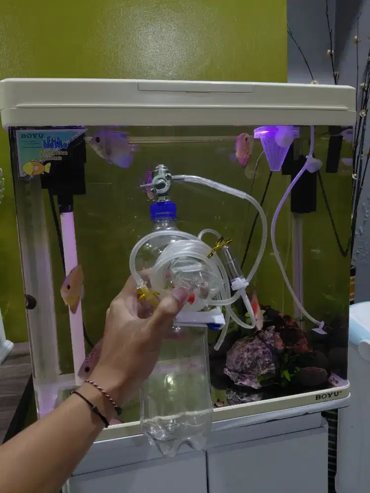 set co2 diy aquscape ragul cisod