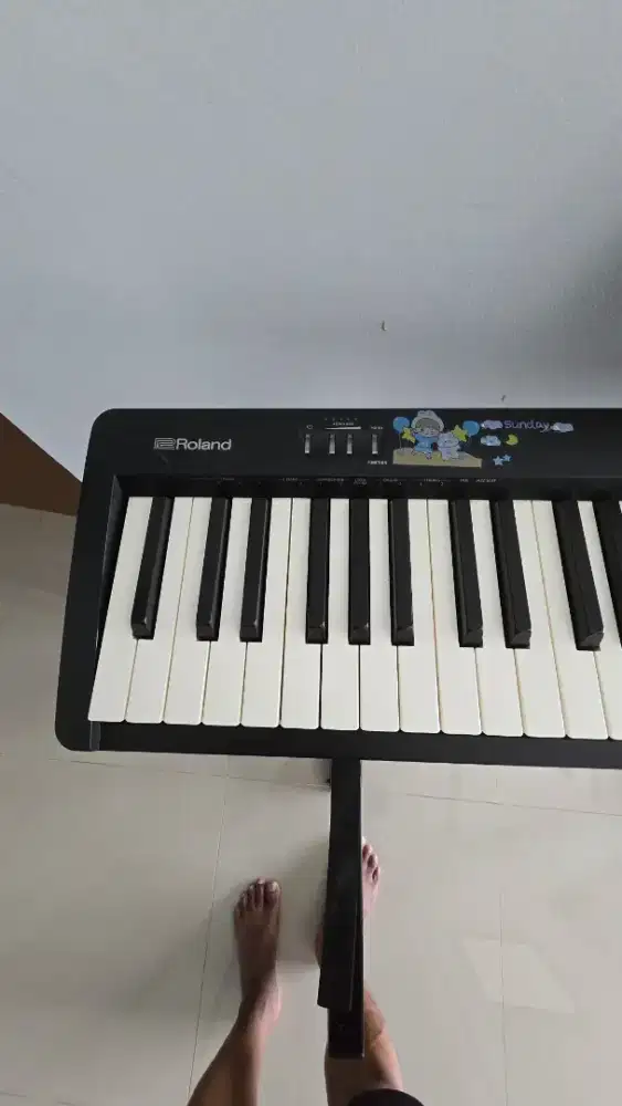 Piano Digital Roland FP 10 + stand roland